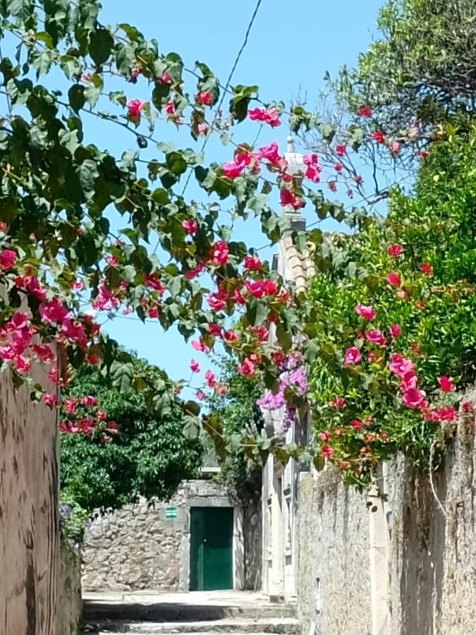 Seaview Dubrovnik Old Town公寓 外观 照片